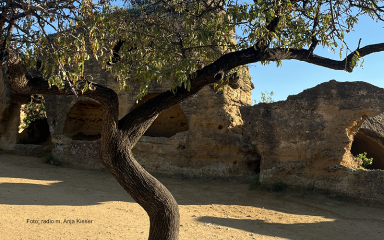 Alles schlecht! Alles!