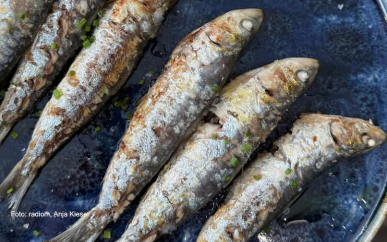 Drei Brocken Brot und ein paar kleine Fische